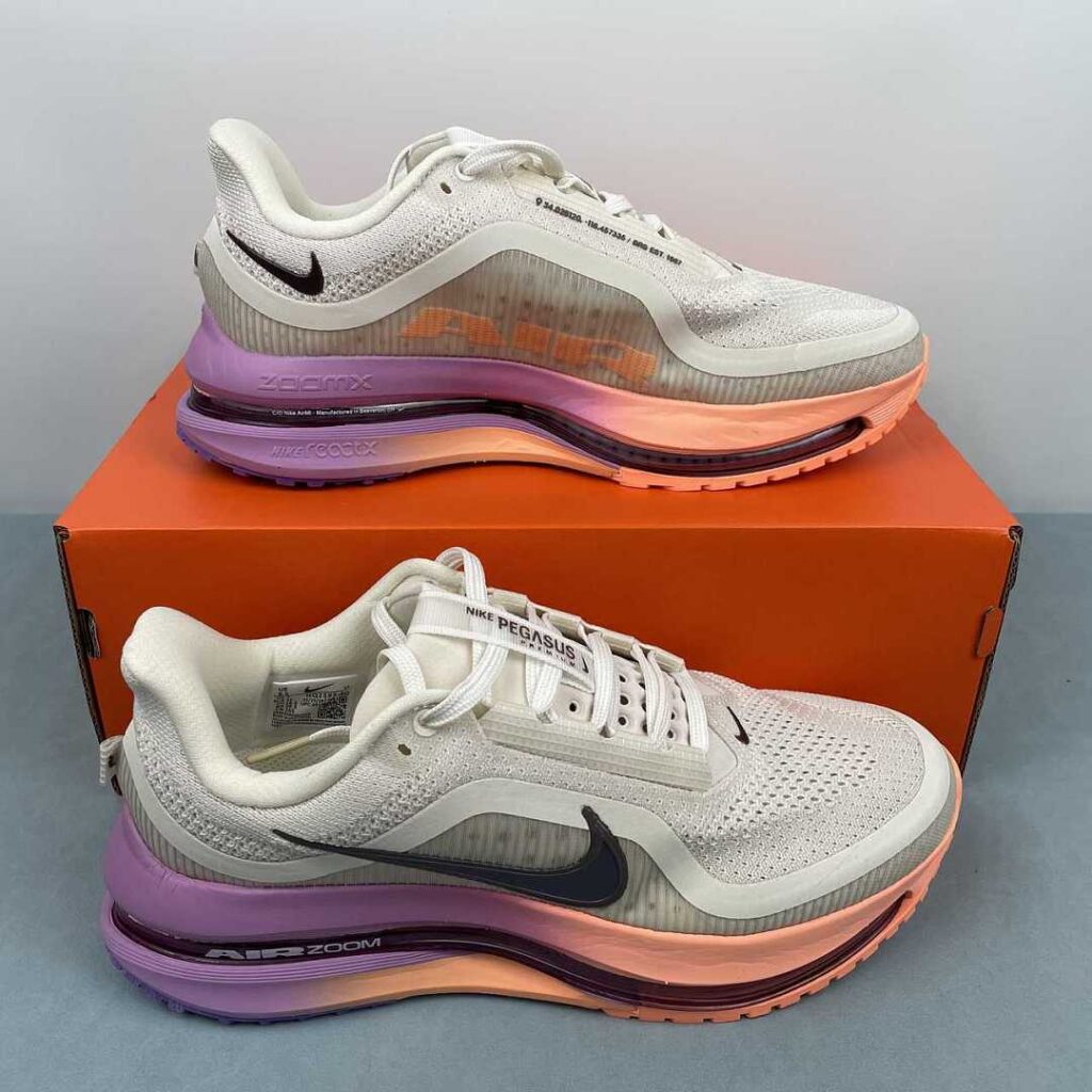 NIKE Pegasus Premium HQ2593-113