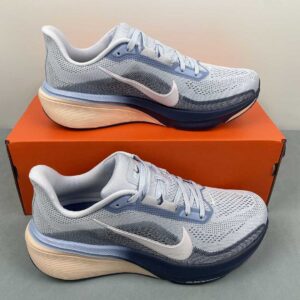 NIKE Air Zoom Pegasus 42 IB1881-400