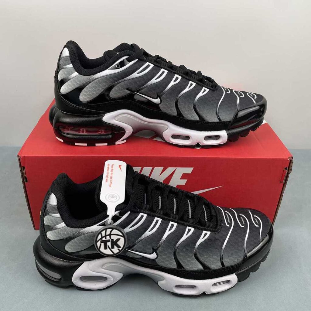 Nike AIR MAX PLUS DM0032-003