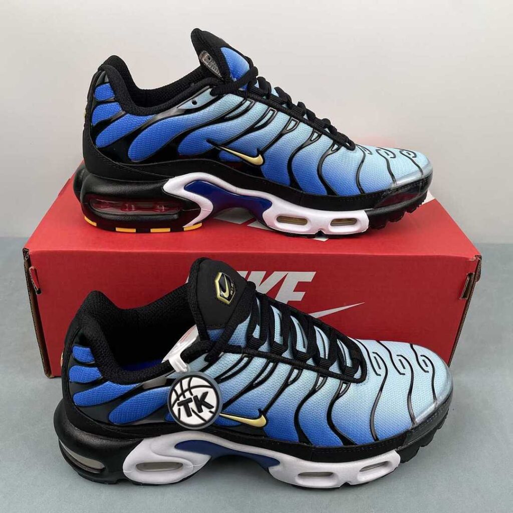 Nike AIR MAX PLUS DX0755-001