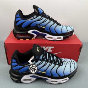 Nike AIR MAX PLUS DX0755-001