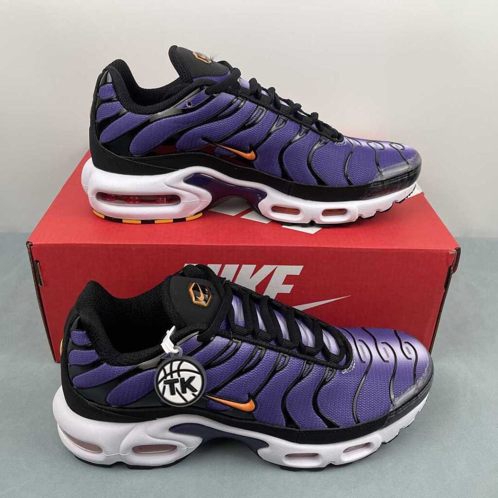 Nike AIR MAX PLUS DX0755-500