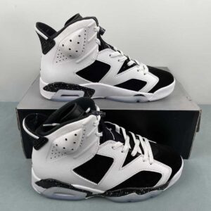 NIKE Air Jordan 6 RETRO CT8529-108