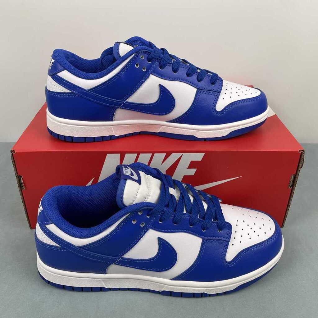 Nike Dunk Low  HF5441-112